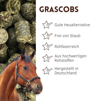 Nahaufnahme von Pferdefutterpellets mit einem braunen Pferd und deutschem Text, der die Vorteile des Grascobs-Futters auflistet.