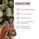 Nahaufnahme von Pferdefutterpellets mit einem braunen Pferd und deutschem Text, der die Vorteile des Grascobs-Futters auflistet.
