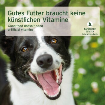 Eine Nahaufnahme eines lächelnden schwarz-weißen Hundes mit braunen Augen im grünen Gras und Blumen. Text: "Gutes Futter benötigt keine künstlichen Vitamine."