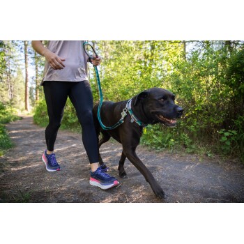 Eine Person in Sportkleidung führt einen glücklichen schwarzen Hund an der Leine auf einem bewaldeten Weg, umgeben von Grün.