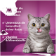 Grau getigerte Katze leckt sich die Lippen vor rosa Hintergrund; deutscher Text: reduziert Haarballen, unterstützt Katzengesundheit, Vitamine & Mineralstoffe.