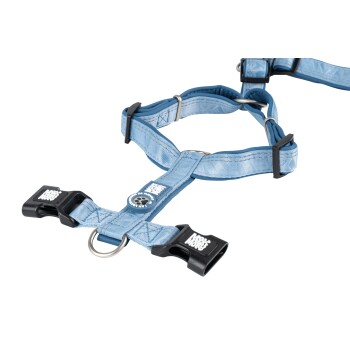 Hellblau verstellbares Hundegeschirr mit schwarzen Schnallen mit der Aufschrift „Max & Molly“ und einem Metall-D-Ring zur Leinenbefestigung.