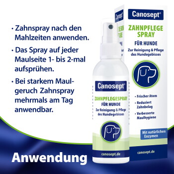 Canosept Zahnpflege Spray für Hunde, Flasche und Verpackung mit deutschem Anwendungstext und Aufzählungsanweisungen, das große Wort "Anwendung" sichtbar.