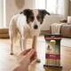 Main tenant un bâtonnet dentaire vers un chien attentif dans le salon à côté d'un sac étiqueté « Select Gold Sensitive Medium Value Pack ».