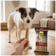 Main tenant un bâtonnet dentaire vers un chien attentif dans le salon à côté d'un sac étiqueté « Select Gold Sensitive Medium Value Pack ».
