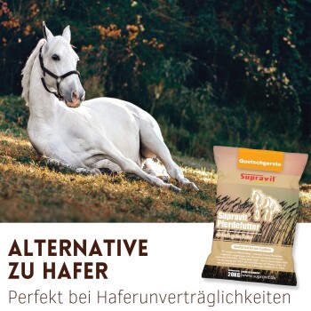 Weißes Pferd liegt auf Gras neben einem Sack Supravit Pferdefutter mit der Aufschrift „Alternative zu Hafer“ und „Perfekt bei Haferunverträglichkeiten“.