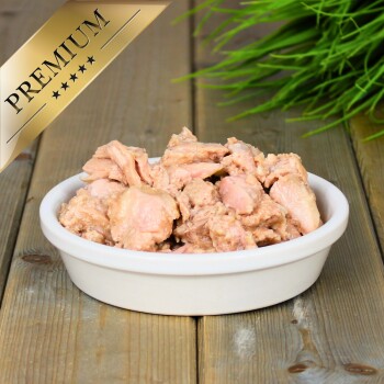 Eine schwarze Schüssel voller zerkleinertem Huhn steht auf einer strukturierten grauen Oberfläche, umgeben von bunten Spielzeugmäusen und Federn, mit grünen Blättern in der Nähe.