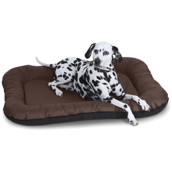 Ein Dalmatiner liegt bequem auf einem plüschigen braunen Hundebett mit schwarzem Rand und zeigt seine charakteristischen schwarzen Flecken.