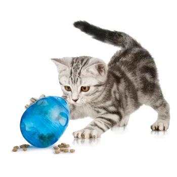 Funkitty Ei Ein verspieltes graues Tabby-Kätzchen nähert sich neugierig einem blauen interaktiven Spielzeug, das mit Katzenfutter gefüllt ist, mit Futterstückchen, die auf der weißen Oberfläche verstreut sind.
