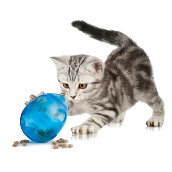 Un chaton tigré gris joueur s'approche curieusement d'un jouet interactif bleu rempli de nourriture pour chat, avec des croquettes éparpillées sur la surface blanche.
