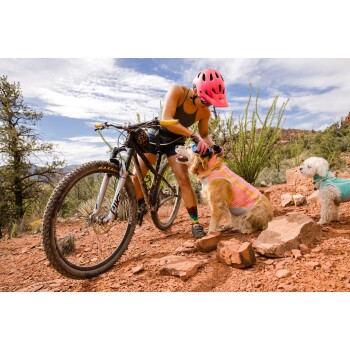 Eine Frau in einem pinken Helm kniet neben einem Golden Retriever in einer pinken Weste, mit einem kleinen weißen Hund in einer grünen Weste in der Nähe auf einem felsigen Weg.