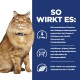 Eine flauschige orangefarbene Katze mit gelben Augen sitzt neben einem Text, der die Vorteile von Haustierfutter auflistet: kontrollierter Phosphor, Omega-3-Fettsäuren und Unterstützung der Nierengesundheit.