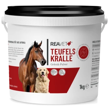 Behälter mit REAVET Teufelskralle Gelenk-Pulver für Haustiere, mit einem Pferd und einem Hund auf dem Etikett, 1 kg Größe.