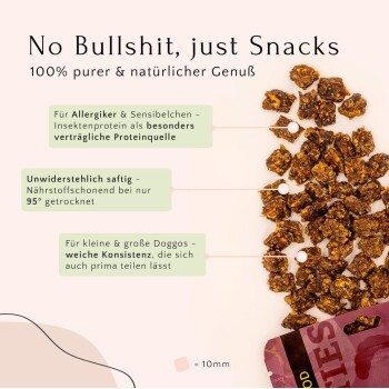 Werbung für Haustiersnacks mit Insektenprotein, die die Eignung für Allergien, ernährungsphysiologische Vorteile und die weiche Textur für Hunde hervorhebt.