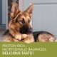 A close-up of a German Shepherd lying down, with text overlay stating "PROTEIN RICH, NUTRITIONALLY BALANCED, DELICIOUS TASTE!"