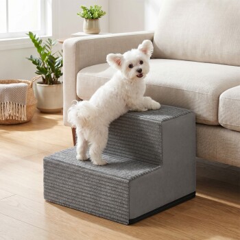 Kleiner weißer, flauschiger Hund klettert eine graue Haustiertreppe mit zwei Stufen neben einem beigefarbenen Sofa in einem sonnendurchfluteten Wohnzimmer hinauf.