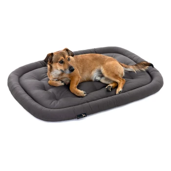 Ein kleiner brauner Hund liegt bequem auf einem plüschigen, grauen Haustierbett mit einem gestickten Design und zeigt seine entspannte Haltung.