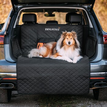 Kofferraumschutz – Auto-Schutzdecke für Hunde