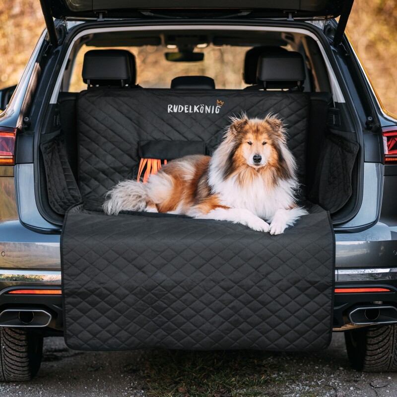 Rudelkönig Kofferraumschutz – Autoschondecke für Hunde