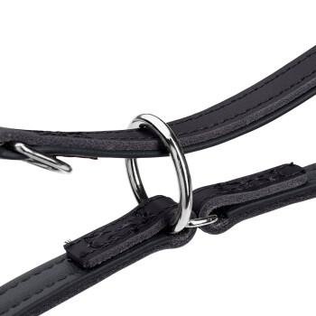 Nahaufnahme eines schwarzen Leder-Haustierhalsbands mit einem silbernen Metallring und Nähdetails.
