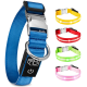 Ein blauer Haustierhalsband mit einer silbernen Schnalle und einem schwarzen Powersymbol-Anhänger, umgeben von gelben, roten, grünen und rosa LED-Halsbändern.