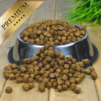 Eine Edelstahl-Haustierfutterschüssel, die über kleine, braune Kroketten überläuft, beschriftet mit "PREMIUM" in einem goldenen Banner oben.