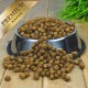 Eine Edelstahl-Haustierfutterschüssel, die über kleine, braune Kroketten überläuft, beschriftet mit "PREMIUM" in einem goldenen Banner oben.