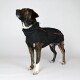Ein stilvoller Hund trägt eine schwarze Jacke mit orangefarbenen Akzenten, sitzt und leckt sich die Nase, vor einem schlichten weißen Hintergrund.
