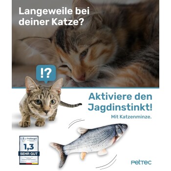 Verspielte Katze mit Text, der fragt, ob Ihre Katze gelangweilt ist, fördert Jagdinstinkte mit Katzenminze und zeigt ein Fischspielzeug und ein Qualitätssiegel.