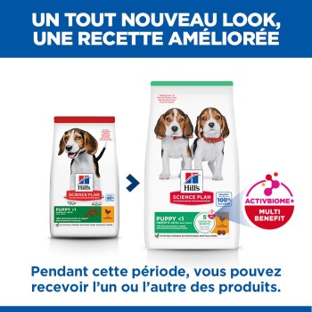 Aliment pour chiot Hill's Science Plan, sacs ancien et nouveau avec deux beagles ; texte en français «UN TOUT NOUVEAU LOOK, UNE RECETTE AMÉLIORÉE»