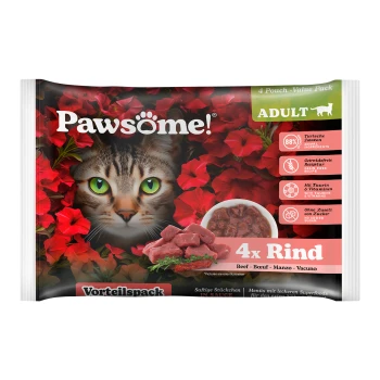 Pawsome! Katzenfutter-Wertpack mit dem Gesicht einer Katze, umgeben von roten Blumen, mit Text, der 4 Beutel Rindfleisch in Sauce angibt.