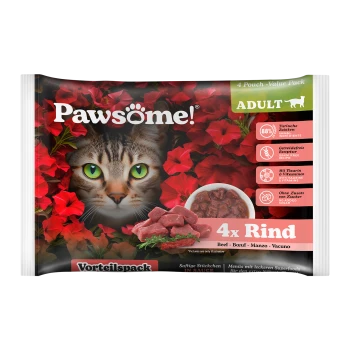 Pawsome! Katzenfutter-Wertpack mit dem Gesicht einer Katze, umgeben von roten Blumen, mit Text, der 4 Beutel Rindfleisch in Sauce angibt.