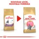 Comparaison d'emballage de nourriture pour chaton Royal Canin British Shorthair, présentant une nouvelle annonce de design et de formule en français.