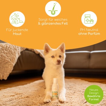Ein flauschiger weißer Hund sitzt auf einem Teppich neben Haustiershampoo, mit dem Text: "Beruhigt Juckreiz", "Weiches & glänzendes Fell", "pH-neutral, ohne Parfüm."