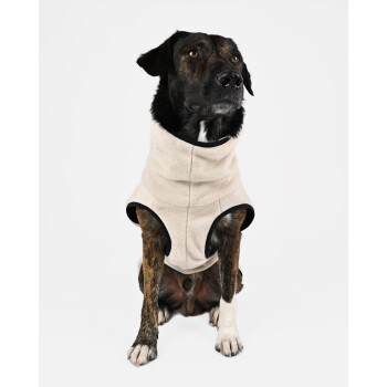 Ein sitzender Hund mit einem schwarz-braunen Fell, der eine beigen Fleeceweste mit schwarzem Rand trägt und aufmerksam zur Seite schaut.