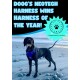 Ein glücklicher schwarzer Hund in einem blauen Geschirr am Strand mit dem Text: 'DOOG'S NEOTECH HARNESS WINS HARNESS OF THE YEAR!' und einem '2024 PET INNOVATION AWARD' Abzeichen.