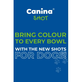 Blaues Plakat mit 'Canina SHOT'-Logo, Text 'Bring colour to every bowl with the new shots for dogs!' und Pfotenabdrücken.