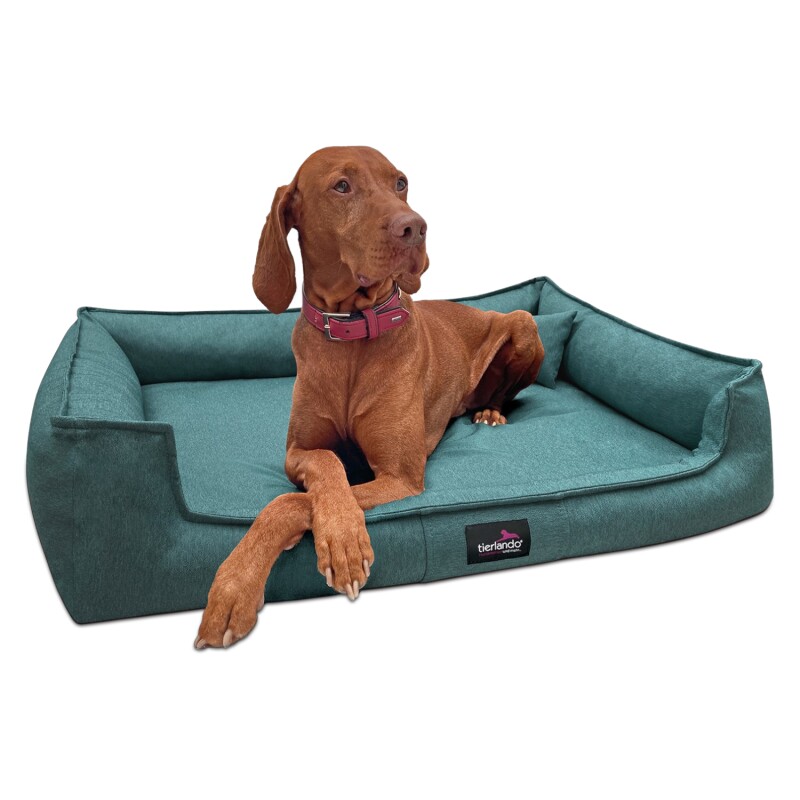 Tierlando ® Orthopädisches Hundebett GUSTAV SCANDI CHIC Große Hunde XL Hundesofa