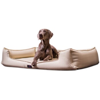 ® GOOFY Kunstleder - Orthopädisches Hundebett >>inkl. Matratzenschoner<< creme 1,3 m, 25 cm, 1 m