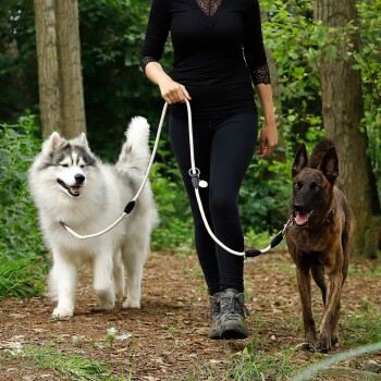 Eine Frau in einem schwarzen Oberteil und Leggings geht mit zwei Hunden, einem flauschigen grau-weißen Siberian Husky und einem braunen Belgischen Malinois, auf einem Waldweg.