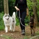 Eine Frau in einem schwarzen Oberteil und Leggings geht mit zwei Hunden, einem flauschigen grau-weißen Siberian Husky und einem braunen Belgischen Malinois, auf einem Waldweg.