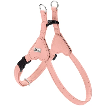 Pinkes, herzförmiges Hundegeschirr mit Metalllogo 'HUNTER', verstellbaren Riemen und schwarzen Schnallen auf weißem Hintergrund.