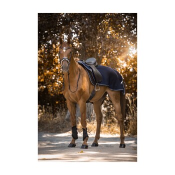 Ausreitdecke Midelton 1,45 m