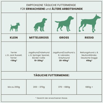 Infografik mit empfohlenen täglichen Futtermengen für erwachsene und ältere Arbeitshunde, kategorisiert nach Größe: kleine, mittlere, große und riesige Rassen.