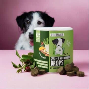Ein Behälter mit "Gras & Kotfresser Drops" (350g) mit dunkelbraunen Tropfen, die herumgestreut sind, und einem Hund, der im Hintergrund neugierig schaut.