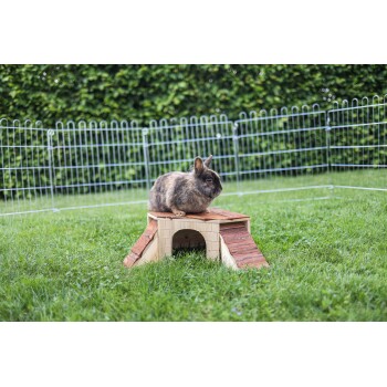 Ein brauner und schwarzer Kaninchen sitzt auf einer Holzrampe in einem grasbewachsenen Bereich, umgeben von einem Drahtzaun.