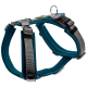Teal- und graue gepolsterte Hundegeschirr mit verstellbaren Riemen und einem metallenen D-Ring zur Leinenbefestigung.
