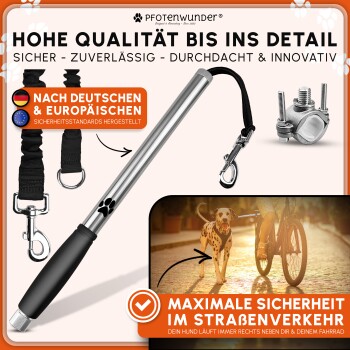 Schwarz-weißer Hund liegt, Fotos von Hunden in Käfigen, Karte von Rumänien, deutscher Text über Hundepflege und Spenden von Pfotenwunder.