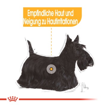 Illustration eines schwarzen Scottish Terriers mit einem hervorgehobenen Bereich und Text über empfindliche Haut und Hautreizungen.