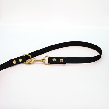 Schwarze Hundeleine mit goldenen Beschlägen und Nieten, flach auf einem weißen Hintergrund ausgelegt.